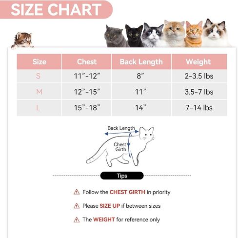 3 PCS Cat Recovery Suit for Spay Abdominal Wounds Female, Cat Onesie for Cats After Surgery, Cat Surgery Recovery Suit Breathable E-Collar Alternative Kitten Onesie for Cats Anti Licking in Saudi Arabia