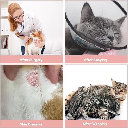 3 PCS Cat Recovery Suit for Spay Abdominal Wounds Female, Cat Onesie for Cats After Surgery, Cat Surgery Recovery Suit Breathable E-Collar Alternative Kitten Onesie for Cats Anti Licking in Saudi Arabia