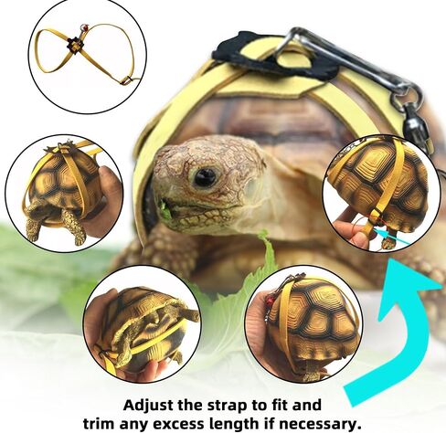 Pet Tortoise Turtle Leather Harness Small Pet Turtle Leash and Harness Pet Tortoise Leash Suitable for Tortoise Supplies Adjustable Control Leash (M,Blue) in Saudi Arabia