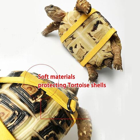 Pet Tortoise Turtle Leather Harness Small Pet Turtle Leash and Harness Pet Tortoise Leash Suitable for Tortoise Supplies Adjustable Control Leash (M,Blue) in Saudi Arabia