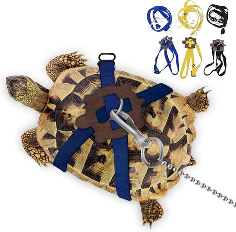 Pet Tortoise Turtle Leather Harness Small Pet Turtle Leash and Harness Pet Tortoise Leash Suitable for Tortoise Supplies Adjustable Control Leash (M,Blue) in Saudi Arabia