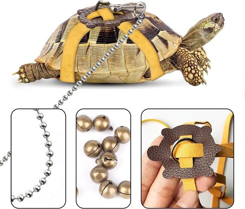 Pet Tortoise Turtle Leather Harness Small Pet Turtle Leash and Harness Pet Tortoise Leash Suitable for Tortoise Supplies Adjustable Control Leash (M,Blue) in Saudi Arabia