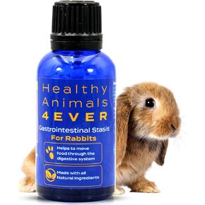 Healthy Animals 4Ever All-Natural Rabbit Gastrointestinal Stasis Treatment | Effective Homeopathic Support for GI Stasis - Promotes Healthy Digestion Rabbit Digestive Health Tablets | 300 Count