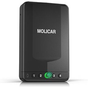 Car Gun Safe, Small Biometric Gun Safe for Handgun, Portable Fingerprint Quick Access Pistol Safe for Nightstand Bedside
