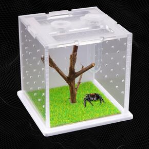 Spider Acrylic Breeding Box, Tarantula Transparent Terrarium, Jumping Spider Feeding Box, Insect Habitat Hatching Container Cage