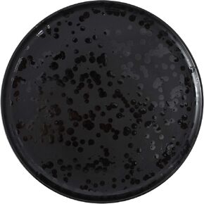 8 inch Black Dinner Plates Set Ceramic Appetizer Party Salad Dessert Plates Black Stoneware Dinnerware Set of 6