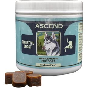 Ascend Digestive Boost Soft Chew Supplements for Dogs – Pumpkin, Hempseed, Probiotics & Inulin – Supports Gut Health, Digestion & Immune System – Veterinarian-Formulated, 90 Chews, USA
