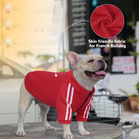 PUMYPOREITY Dog Hoodie for French Bulldog, Pullover Stretchy Dog Hoodies for Frenchie, Soft Dog Sweatshirts, Frenchie Clothes for Cold Weather, Blue, XL in Saudi Arabia