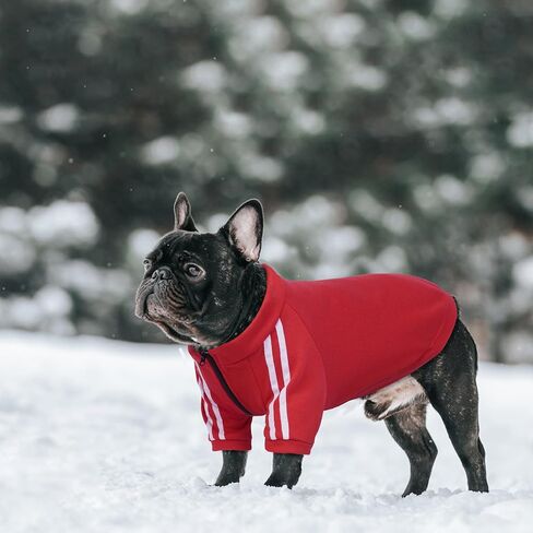 PUMYPOREITY Dog Hoodie for French Bulldog, Pullover Stretchy Dog Hoodies for Frenchie, Soft Dog Sweatshirts, Frenchie Clothes for Cold Weather, Blue, XL in Saudi Arabia