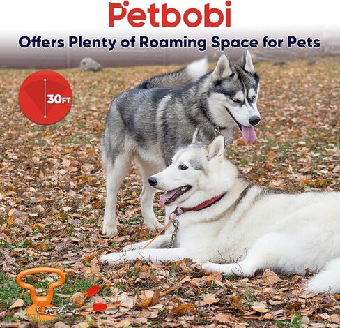 كابل ووتاد ربط الكلاب من بيتبوبي - كابل عالي التحمل بطول 30 قدمًا مزود بزنبرك، خالٍ من التشابك، ووتد أرضي مقاس 16 بوصة مع حقيبة حمل، مثالي لشاطئ التخييم في الفناء، يناسب الكلاب الصغيرة والمتوسطة والكبيرة التي يصل وزنها إلى 120 رطلًا in Kuwait