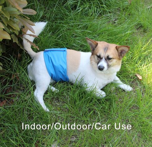 JoyDaog Reusable Dog Belly Bands for Male Dogs Diapers,5 Pack Premium Washable Dog Diapers Male Puppy Nappies Wrap,M in Saudi Arabia