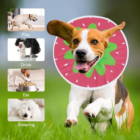 MABOZOO Waterproof Dog Cone, Adjustable Dog Cat Pet Cone Collar Recovery Collar for Dogs and Cats After Surgery, Lightweight Protective Collar E-Collar to Stop Licking (Strawberry, M) in Saudi Arabia