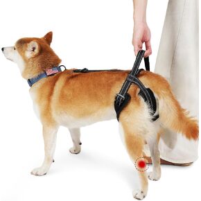 ROZKITCH Pet Dog Support Harness Rear Lifting Harness for Back Legs Reflective Dog Sling Vet Approved for Old Helps with Poor Stability Hind Legs, Joint Injuries Elderly Arthritis ACL Rehab Black L