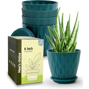 6 Inch Indoor Planter Pots with Drainage Hole and Tray Saucer,Flower Pots for Indoor Outdoor Garden Plants and Flowers, Multicolor, 5 Packs