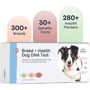 Basepaws Cat Dental Health Test | Provides Risk Scores for Dental Conditions: Periodontal Disease, Bad Breath, Tooth Resorption | Report Provides Personalized Health Care
