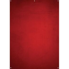 Westcott X-Drop 5'x7' Fabric Backdrop for Headshot and Portrait Photography (Grunge Concrete by Joel Grimes)