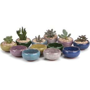 T4U 2.5 Inch Small Ceramic Succulent Planter Pot with Drainage Hole Set of 12, Ice Crack Glaze Porcelain Handicraft Plant Container Gift for Mom Sister Aunt Best for Home Office Desk Decoration