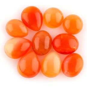 CRYSTALIS Wholesale 4pcs Natural Fossil-Coral Loose Gemstone Bulk Cabochons Jewelry Making Supply, Chakra Healing Polished Stones, Wire Wrapping, DIY, Gem Collection in Saudi Arabia