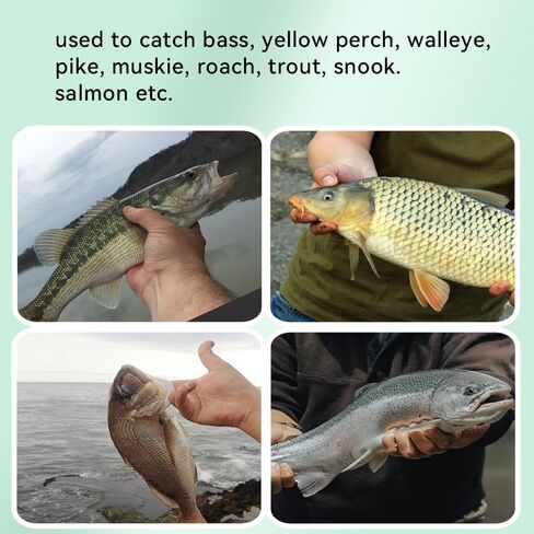 5pcs Topwater Fishing Lures with Spinner Blade for Freshwater and Saltwater, Lifelike Swimbait for Bass, Trout Catfish Pike, Slow Sinking Bass Whopper Fishing Lure Kit with Case in Saudi Arabia