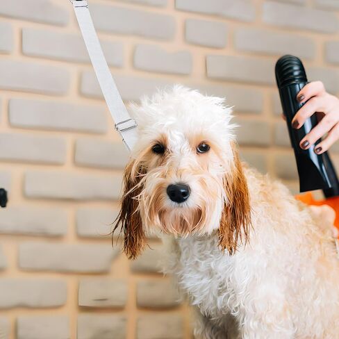 أشرطة تهذيب الكلاب من Happyyami: قطعتان من حلقات تمديد تهذيب الكلاب وملحقات ذراع تهذيب الكلاب الأليفة وأشرطة تمديد حلقة المقود in Kuwait