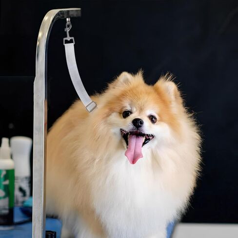 أشرطة تهذيب الكلاب من Happyyami: قطعتان من حلقات تمديد تهذيب الكلاب وملحقات ذراع تهذيب الكلاب الأليفة وأشرطة تمديد حلقة المقود in Kuwait