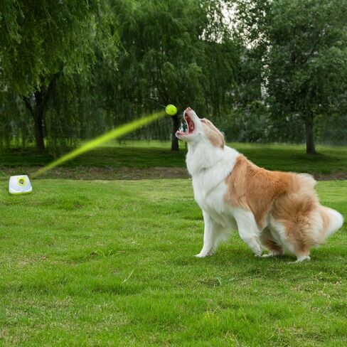 LUXIXI Automatic Ball Launcher for Small to Medium Sized Dogs, 10-30ft Launch Distance, Dog Toy Ball Thrower with 6 Small Sized Latex Balls (White) in Saudi Arabia