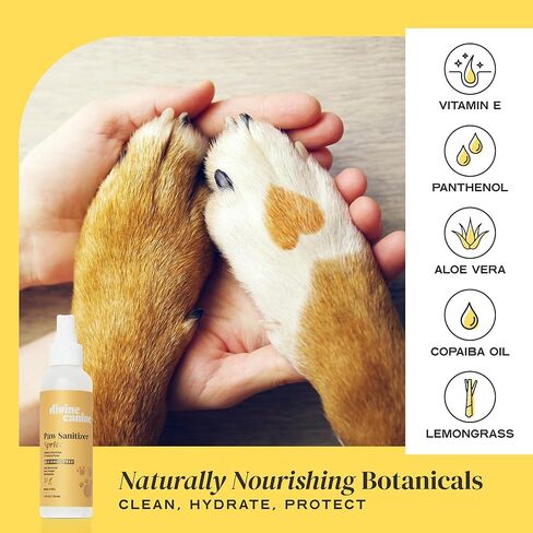 Dog Paw Cleaner - 5.1 Fl Oz of Alcohol Free Rosewater Scented Paw Sanitizer Spritz - Made with Rosewater, Aloe, Copaiba Oil, and Lemongrass Oil to Nourish and Clean Paws - Made in The USA in Kuwait