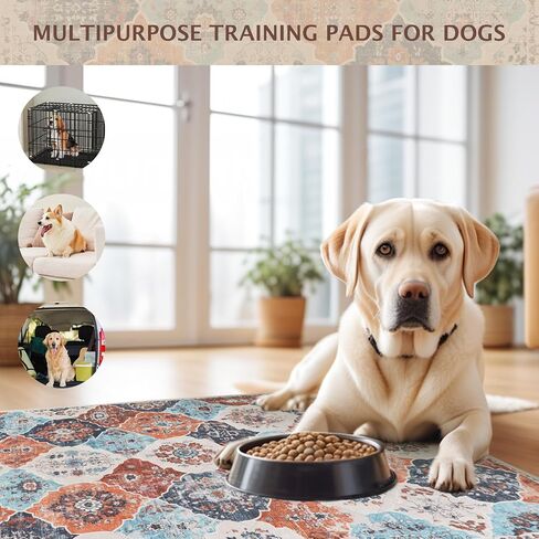 IEUUMLER Washable Pee Pads for Dogs, 2 Pack Reusable Pee Pads for Dogs Non-Slip Grip, Super Absorbent Waterproof Puppy Pads for Potty training, Playpen, Crate, Whelping Box EU011 (Blue,24" x 18") in Kuwait