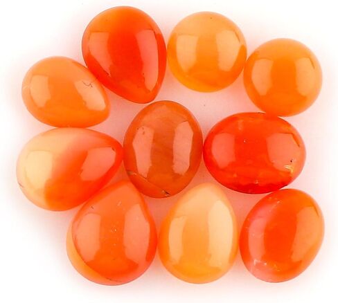 CRYSTALIS Wholesale 4pcs Natural Fossil-Coral Loose Gemstone Bulk Cabochons Jewelry Making Supply, Chakra Healing Polished Stones, Wire Wrapping, DIY, Gem Collection in Kuwait