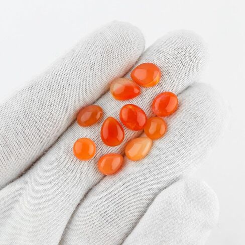 CRYSTALIS Wholesale 4pcs Natural Fossil-Coral Loose Gemstone Bulk Cabochons Jewelry Making Supply, Chakra Healing Polished Stones, Wire Wrapping, DIY, Gem Collection in Kuwait