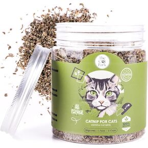 Cat Park Organic Catnip for Cats & Kittens 1.76 oz - 100% Natural Premium Fresh Catnip - Kitty Can't Resist Blend of Safe High Potency Cat Nip Treats for Extra Zooms and Playtime (2 Cups)