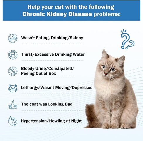 Kidney Support for Cats - Cat Kidney Support Drops 2 oz, Cat UTI Remedy Supplement - Improve Weight Loss, Lack of Appetite, Excessive Drinking, Lethargy, Blood in Urine, Dull Coat in Saudi Arabia