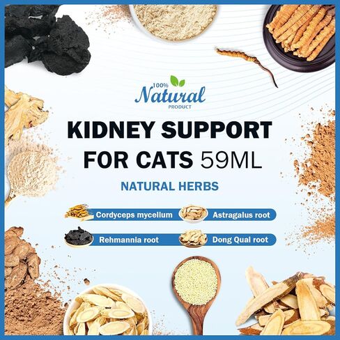 Kidney Support for Cats - Cat Kidney Support Drops 2 oz, Cat UTI Remedy Supplement - Improve Weight Loss, Lack of Appetite, Excessive Drinking, Lethargy, Blood in Urine, Dull Coat in Saudi Arabia