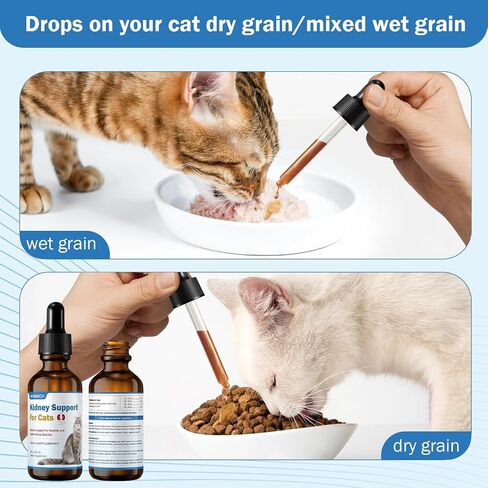 Kidney Support for Cats - Cat Kidney Support Drops 2 oz, Cat UTI Remedy Supplement - Improve Weight Loss, Lack of Appetite, Excessive Drinking, Lethargy, Blood in Urine, Dull Coat in Saudi Arabia