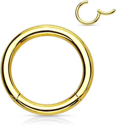 Pair of 316L Surgical Steel Hinged Segment WildKlass Rings in Saudi Arabia