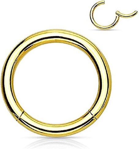 Pair of 316L Surgical Steel Hinged Segment WildKlass Rings in Saudi Arabia