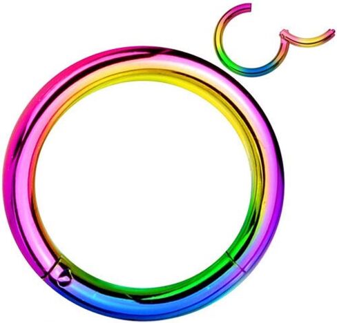 Pair of 316L Surgical Steel Hinged Segment WildKlass Rings in Saudi Arabia