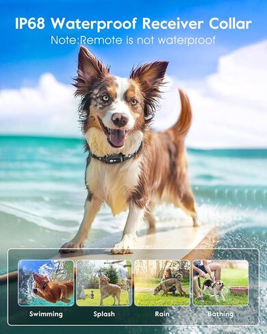 Dog Shock Collar,3300FT Dog Training Collar with Remote,IPX8 Waterproof E-Collar with Beep,Vibration,Shock,Light,Shock Lock Mode,Electric Shock Collar for Small Medium Large Dogs,Green in Kuwait
