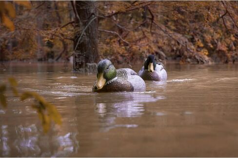 Higdon Outdoors Battleship Swimmer PRO | Motion Waterfowl Decoy in Kuwait