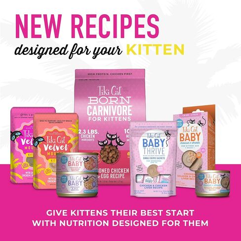 Tiki Cat Baby Thrive, Chicken & Chicken Liver, High-Protein & Flavorful, Wet Cat Food for Kittens 4 Weeks+, 5.6 oz. Pouches (Pack of 8) in Kuwait