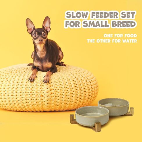 Dog Slow Feeder Ceramic Bowls Set with Stand, Cute Paw Slow Feeding Food Bowl and Water Bowl for Small Breed, Ceramics Cat Dishes,Non Slip, Brithday Gifts, Grey in Saudi Arabia