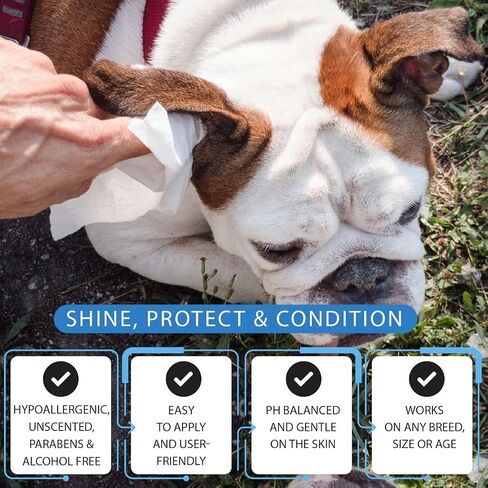 Dog Wipes for Dogs Cats, 200 Count All Purpose Cleaning Pet Wipes, Dog Ear Wipes, Quick Easy Grooming for Bums, Body, Paws, Eyes, for A Easy & Speedy Freshen-Up, 2 Travel Pack of 200 Wipes in Saudi Arabia