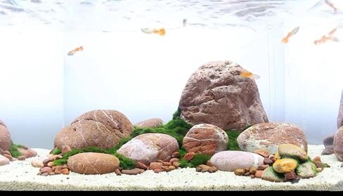 Artificial Moss Stone, Imitation Fish Tank Landscape Stone, Turtle Pond Landscape Stone, Aquarium Ornaments,Aquarium Decor,Aquarium Moss,aquascape Rocks. (Moss Stone) in Saudi Arabia