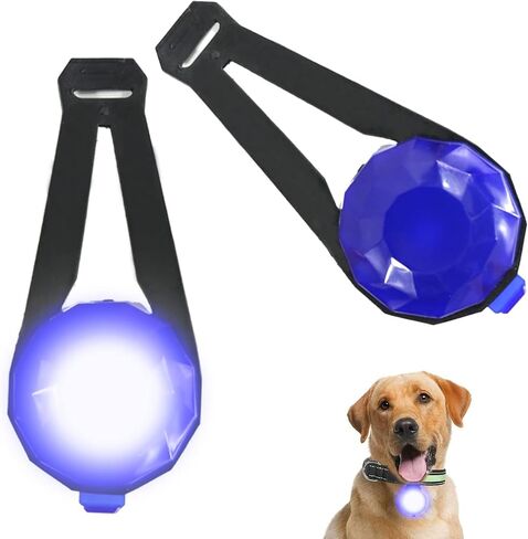 LED Collar Charm Light,Dog Collar Lights for Night Walking,Dog Night Light, Pet Safety Light for Outdoor, 3 Light Modes,5KM Visibility,USB Rechargable (2 Count, Blue) in Saudi Arabia