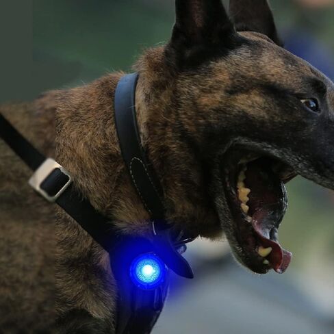 LED Collar Charm Light,Dog Collar Lights for Night Walking,Dog Night Light, Pet Safety Light for Outdoor, 3 Light Modes,5KM Visibility,USB Rechargable (2 Count, Blue) in Saudi Arabia