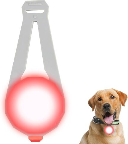 LED Collar Charm Light,Dog Collar Lights for Night Walking,Dog Night Light, Pet Safety Light for Outdoor, 3 Light Modes,5KM Visibility,USB Rechargable (2 Count, Blue) in Saudi Arabia