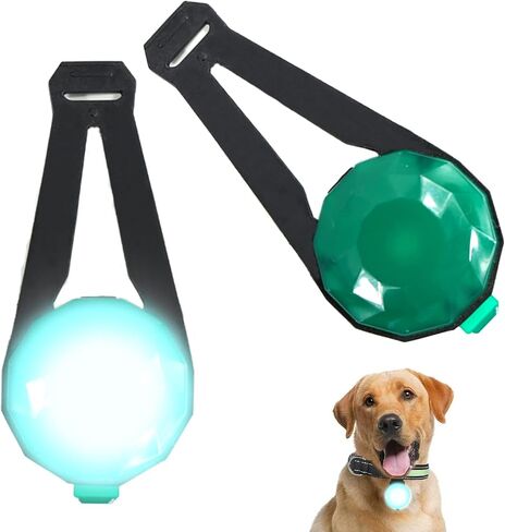 LED Collar Charm Light,Dog Collar Lights for Night Walking,Dog Night Light, Pet Safety Light for Outdoor, 3 Light Modes,5KM Visibility,USB Rechargable (2 Count, Blue) in Saudi Arabia