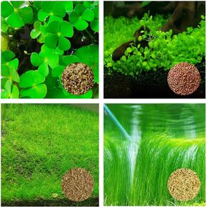 4 Pack Aquarium Plant S.e.e.d Set, not Artificial plasticl Plant. Real Grass Tank Decor Replacement for Resin or Plastic Grass