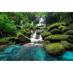 Forest Aquarium Background Waterfall Tropical Jungle Terrarium Background Green Leaves with Lush Moss Rocks Aquarium Backdrops Reptile Habitat Background Fish Tank Decor Vinyl 36x20in