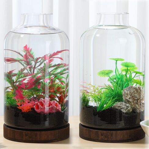 PONDON 1.3 Gallon Fish Bowl Vase, Glass Plant Terrarium Kit, Complete with Wooden Base and Water Changer in Saudi Arabia